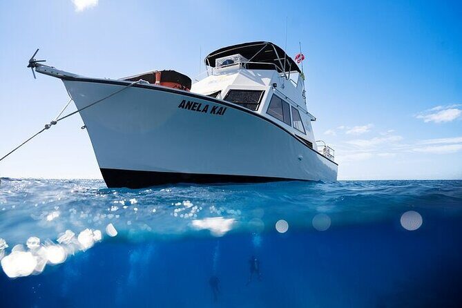 Kauai's Exclusive Morning Scuba Charter for Experienced Divers - Where You Meet and How the 4.5 Hours Run