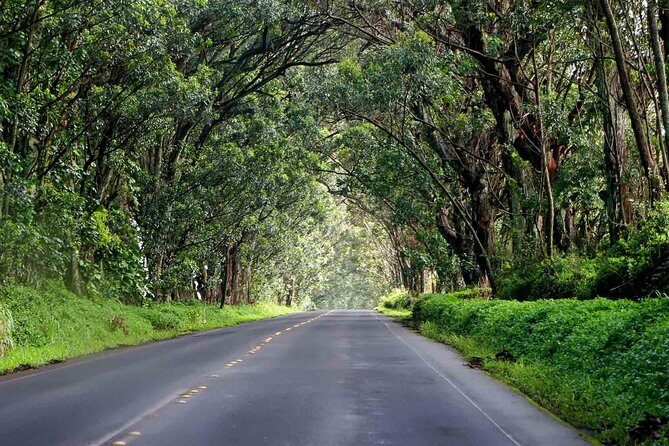Kauai's Legends, Waterfalls & Geysers-Small Group Tour - Wailua Falls plus Fantasy Island fame: a classic waterfall photo stop
