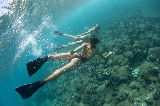 Kauai’s Na Pali Coast Snorkel and Sail Tour - Snorkeling at the Calm Reef: How the Tour Works for First-Timers