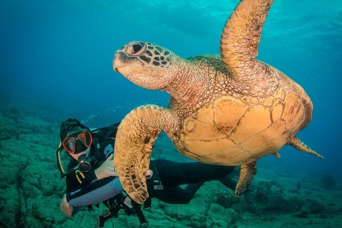 Kauai's Ultimate Discover Scuba Dive - OCEAN EXPERIENCE (1 Tank Dive) - Kauai First-Timer Scuba on One Tank: The Big Idea