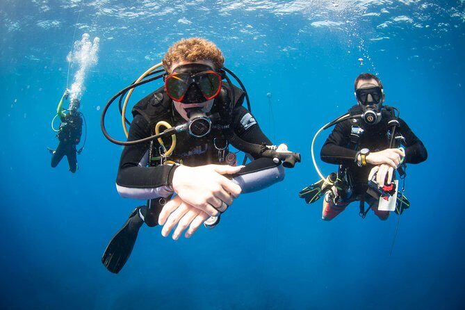 Kauai's Ultimate Discover Scuba Dive - OCEAN EXPERIENCE (1 Tank Dive) - PADI Discover Scuba: Four Skills Before Going Deeper