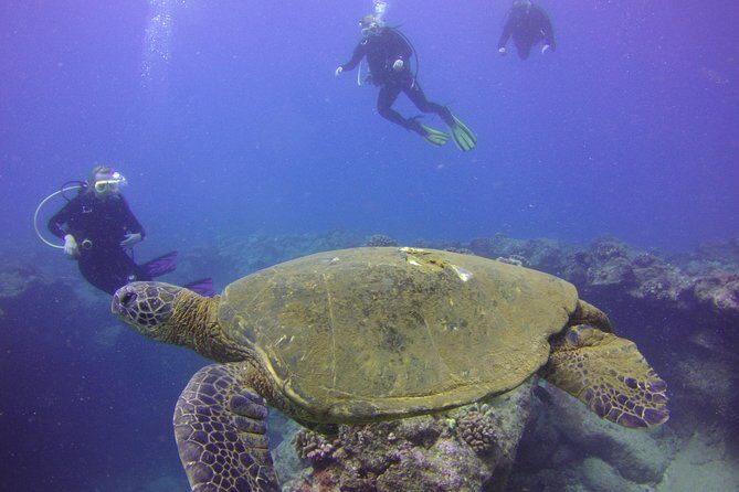 Kauai's Ultimate Discover Scuba Dive - OCEAN EXPERIENCE (1 Tank Dive) - Gear, Snacks, and the Comfort Stuff That Adds Up