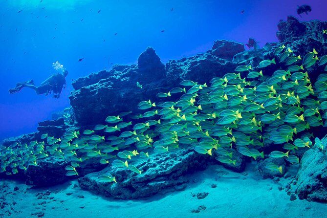 Kauai's Ultimate Dive Boat Adventure (for CERTIFIED Divers Only) - Price and logistics: why paying more can be cheaper on the day