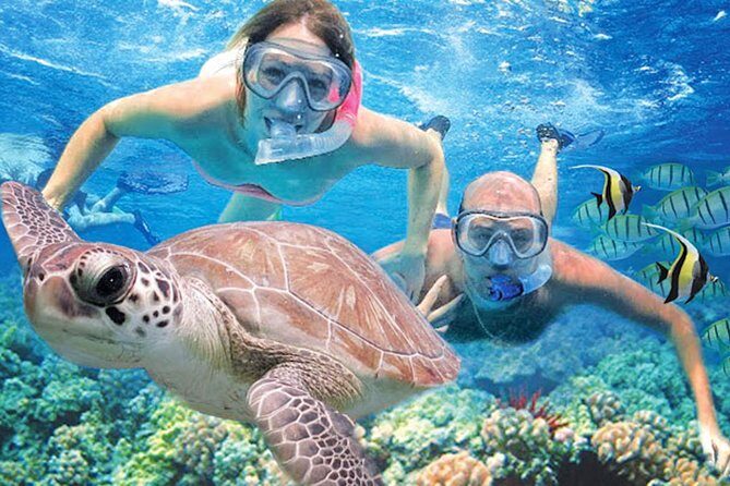Kauai’s Ultimate Guided Shore Snorkel in South Poipu - Why Poipu’s guided shore snorkel beats the big crowd approach