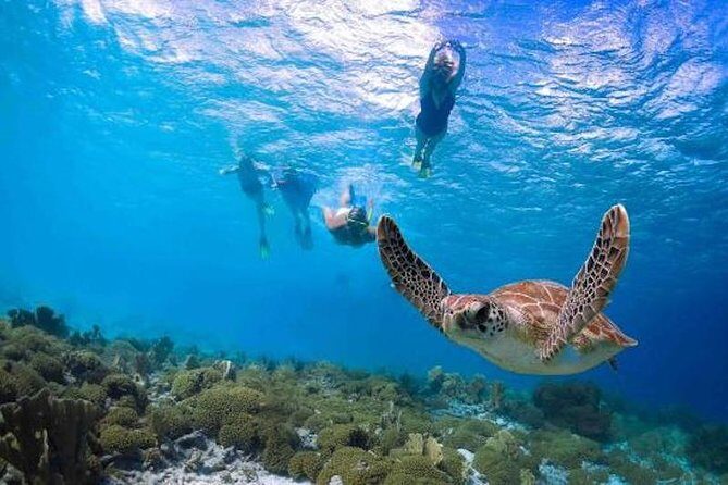 Kauai’s Ultimate Guided Shore Snorkel in South Poipu - The two hours: how the schedule actually works