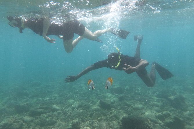 Kauai’s Ultimate Guided Shore Snorkel in South Poipu - Weather, rough water, and motion sickness: plan smart
