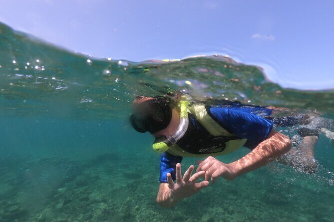Kauai's Ultimate Guided Shore Snorkel (NO BOAT): North Anini - Key things to know before you go