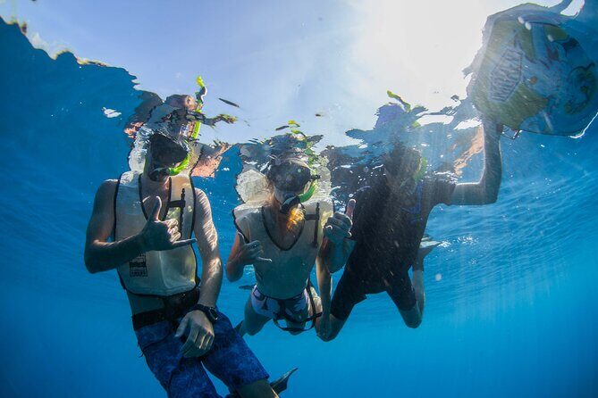 Kauai's Ultimate Guided Shore Snorkel (NO BOAT): North Anini - The 3727F Anini Rd meeting point: how to set yourself up