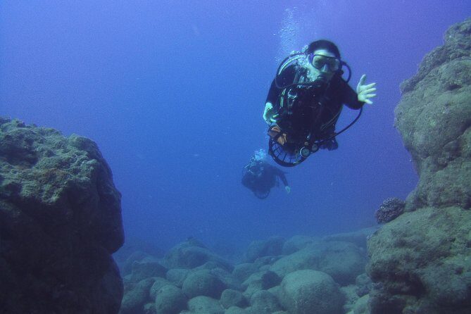 Kauai's Ultimate Scooter Adventure 2 Tank Dive (Advance Certified Divers Only) - What you’ll likely see: turtles, octopus, and reef fish
