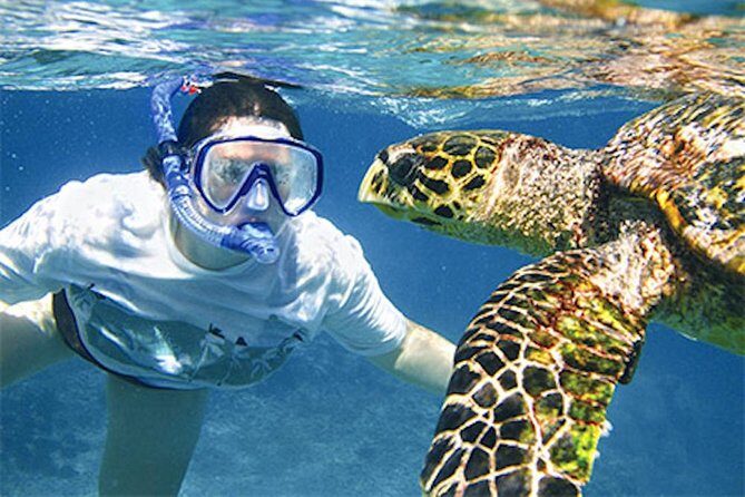 Kauai's Ultimate South Island Zodiac Boat Snorkel Adventure - The 25-Foot Zodiac Cruise: Views of Spouting Horn and Dolphin Watch