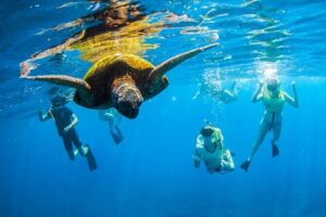 Kauai's Ultimate South Island Zodiac Boat Snorkel Adventure - Two Snorkel Stops in Calm Water: Fish, Turtles, and How the Time Works