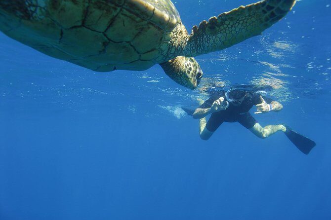 Kauai's Ultimate South Island Zodiac Boat Snorkel Adventure - The Ride Feels Fast: Comfort Level, Sea Sickness, and Safety Basics