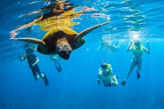 Kauai's Ultimate South Island Zodiac Boat Snorkel Adventure - Two Snorkel Stops in Calm Water: Fish, Turtles, and How the Time Works