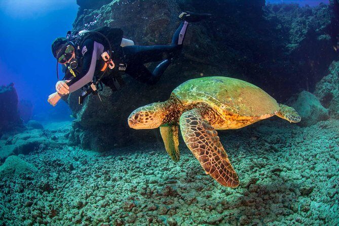 Kauai's Ultimate South Shore 2 Tank Dive (Certified Divers Only) - Guide Styles and Pace: How to Get the Most From Two Tanks