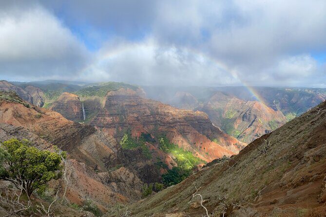 Kauai's Waimea Canyon and South Side Private Guided Tour - Key highlights worth planning around