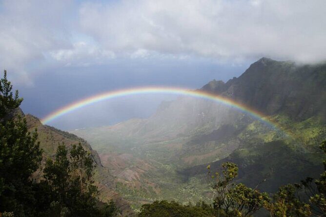 Kauai's Waimea Canyon and South Side Private Guided Tour - The Kalalau Lookout: quick stop, massive visuals