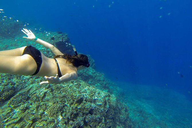 Ni'ihau and Na Pali Coast Snorkel Boat Tour - Food and drinks: why this tour keeps energy high