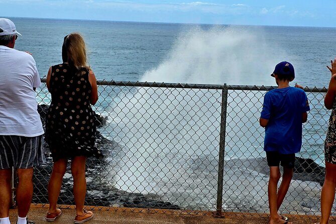 Opaeka'a falls, Spouting Horn, Poipu Beach - Poipu Beach Park and Koloa Area: Wildlife Odds and a Real Beach Break
