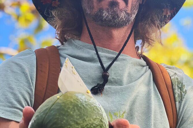Pick and Taste Tropical Fruit - Moloaa Organicaa: Kauai’s organic fruit world in 2 hours