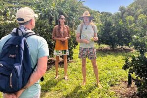 Pick and Taste Tropical Fruit - Fruit tasting: picking ripe flavors, not grocery-store fruit