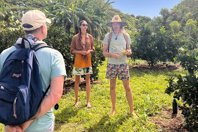 Pick and Taste Tropical Fruit - Fruit tasting: picking ripe flavors, not grocery-store fruit