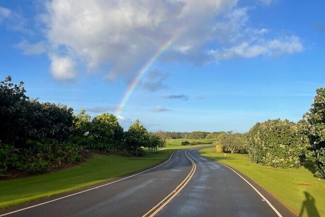 Poipu and Koloa E-Bike Scenic Tour - Poipu Beach: The Family-Friendly Finish (and You Might Spot Wildlife)