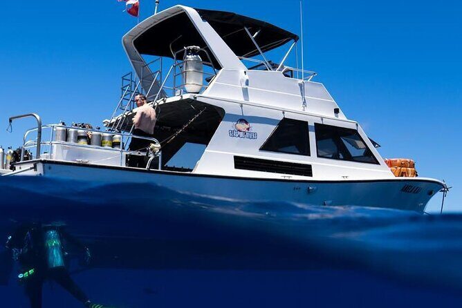 Premium Afternoon Scuba Charter for All Certified Diver Levels - Why This Kauai Charter Works So Well in the Afternoon