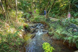 Princeville Botanical Gardens Tour and Chocolate Tasting Ticket - Chocolate tasting facts: what you’ll sample and why it’s worth it