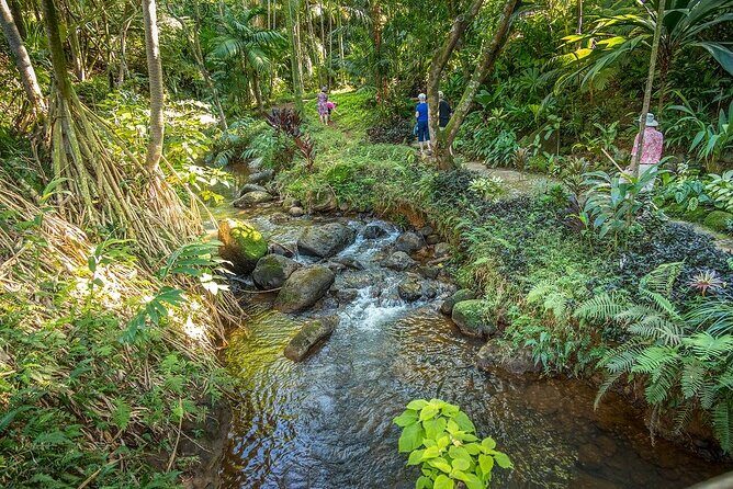 Princeville Botanical Gardens Tour and Chocolate Tasting Ticket - Chocolate tasting facts: what you’ll sample and why it’s worth it
