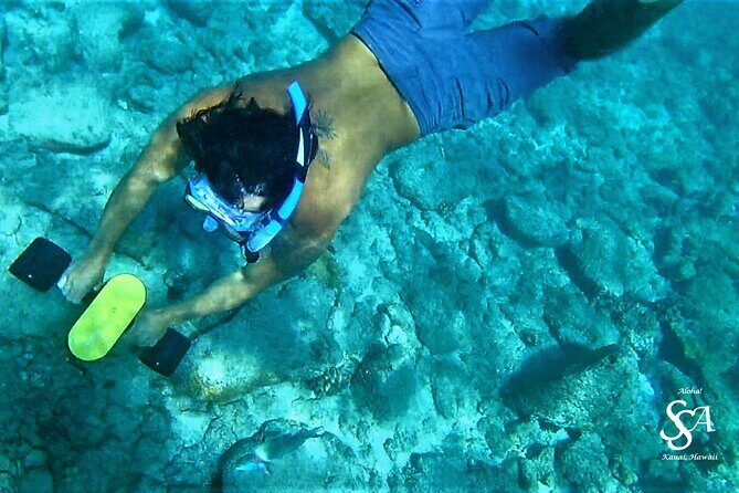Princeville - Snorkeling Shore Excursion - Anahola Marketplace at 8:00 am: Gear, Instructions, and Kelly-Style Tips