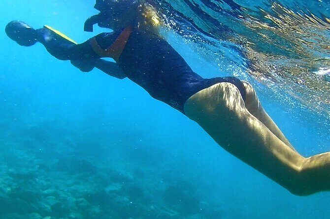 Princeville - Snorkeling Shore Excursion - Who This Works Best For (And Who Should Think Twice)