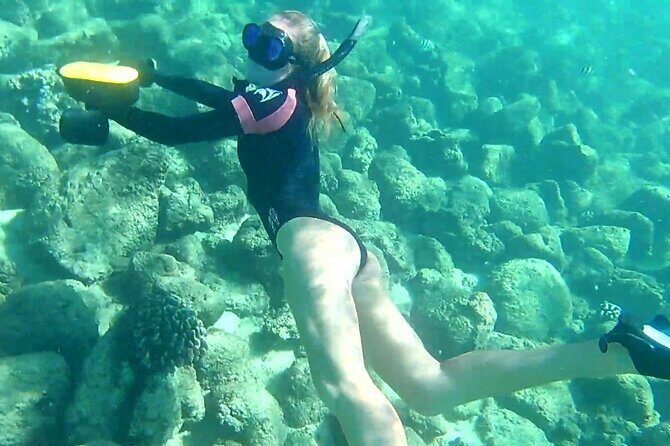 Princeville - Snorkeling Shore Excursion - Quick Reality Check: Timing, Weather, and What to Bring