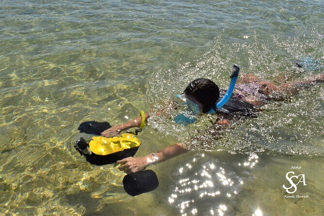Princeville - Snorkeling Shore Excursion - First Snorkel Stop: Anini Beach and the Turtle Odds