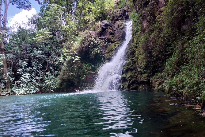 Private Jungle Waterfall Adventure, Wit Da Native Hawaiian Dundee - Meet Charlie the Hawaiian Dundee and Your Day’s Safety Baseline