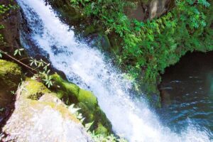 Private Jungle Waterfall Adventure, Wit Da Native Hawaiian Dundee - Kalalea: Movie Peaks, Ancient Sites, and Quiet History Between Hikes