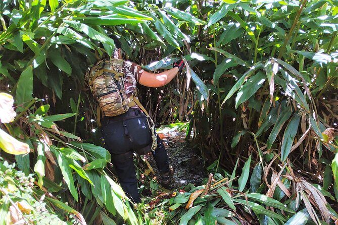 Private Jungle Waterfall Adventure, Wit Da Native Hawaiian Dundee - The Anahola Hawaiian Land Farmer’s Market Taste Stop (and Why It Matters)