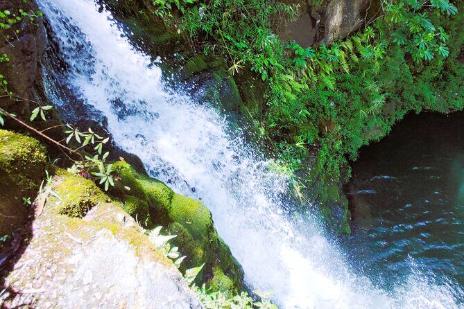 Private Jungle Waterfall Adventure, Wit Da Native Hawaiian Dundee - Kalalea: Movie Peaks, Ancient Sites, and Quiet History Between Hikes