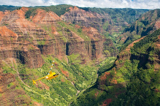 Private Kauaʻi Experience: Doors-Off ALL WINDOW SEATS - Timing and logistics: check in early, then enjoy the flight rhythm