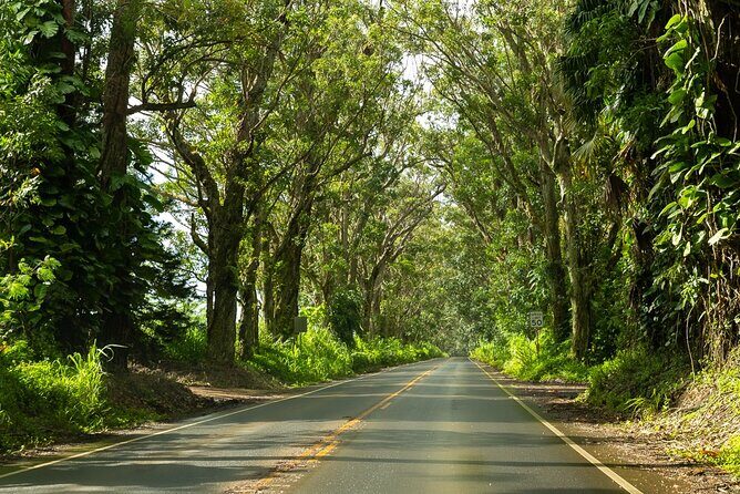Private Kauai Highlights- Featuring Waimea Canyon - Hanapepe Valley Lookout: A Quick Stop That Sets the Mood