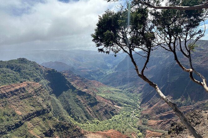Private Kauai Highlights- Featuring Waimea Canyon - Koke’e State Park and Kalalau Valley: The High Forest Payoff