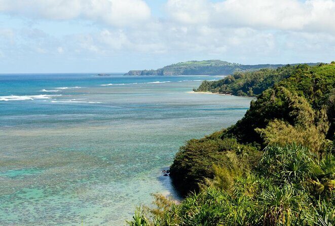Private Luxury Tour of Kauai: North & East Shores - Key things to know before you go