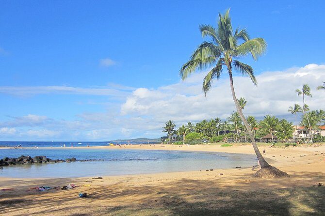 Private Luxury Tour of Kauai: South & West Shores - Coffee, cliffs, and rivers: how the stops balance each other