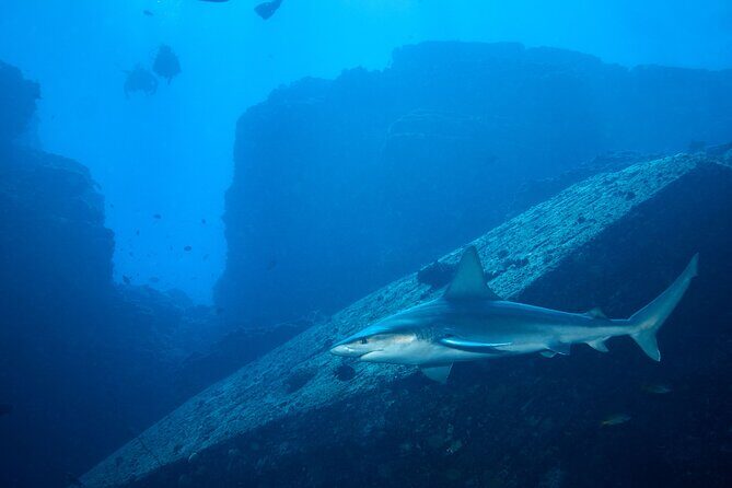 Private Niihau Scuba Charter with 2 or 3 Tank Dive Option - Price and Value of a Private Charter for Up to 6