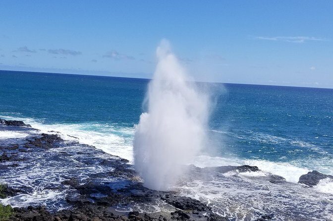 Private Waimea Canyon Tour - Stop 3: Waimea Canyon State Park lookouts plus Waipo’o Waterfall time