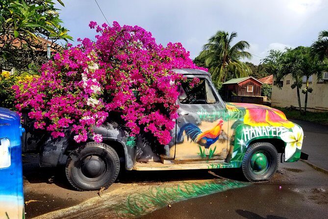 Private Waimea Canyon Tour - Stop 4: Kauai Coffee Company tasting and the coffee maze
