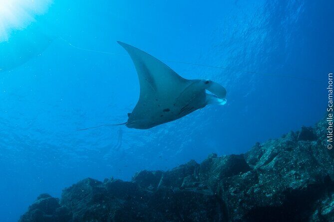 Scuba Dive at Ni’ihau (Forbidden island) - Key things that make this Ni’ihau trip work