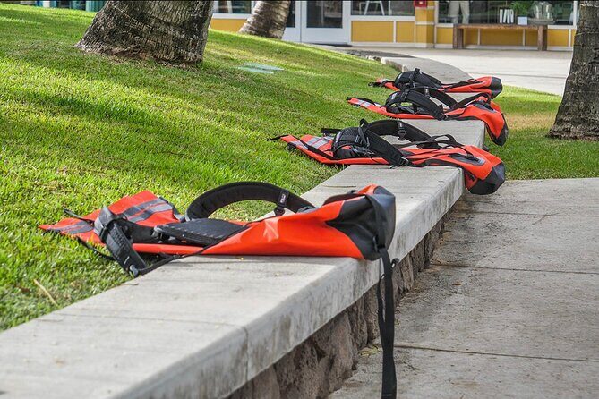 Secret Falls Kayak & Hike Guided Adventure on the Wailua River - Logistics that affect your day more than you expect