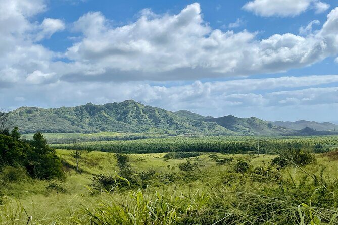 Shaka Zipline: 5 Line Zipline Tour (60 - 260 lbs) - The van ride to the course: part logistics, part part of the fun