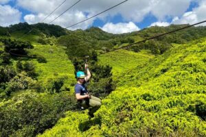 Shaka Zipline: 5 Line Zipline Tour (60 - 260 lbs) - Small-group energy and why the max of 12 matters