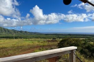 Shaka Zipline: 8 Line Zipline Tour (80 - 260 lbs) - Before You Fly: Check-In, Gear, and a Short Uphill Prep